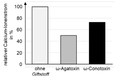 Säulendiagramm: relativer Calcium-Ionenstrom — ohne Giftstoff ~100%, ω-Agatoxin ~50%, ω-Conotoxin ~70%